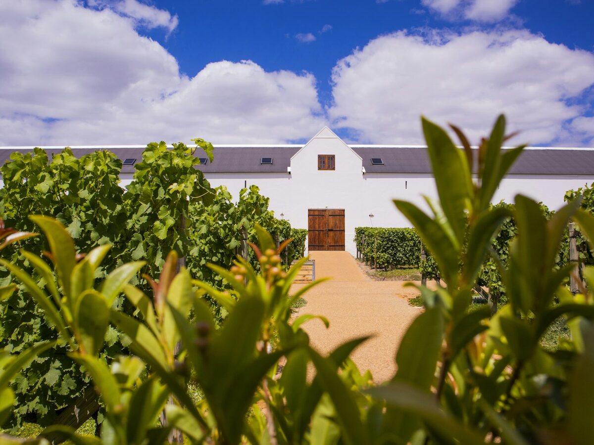 260-Acre Estate with a 10,000 Sq Ft Custom Home